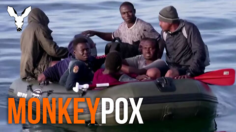 Are African Migrants Spreading Monkeypox? | VDARE Video Bulletin