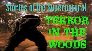 Terror in the Woods | Interview with WJ Sheehan | Stories of the Supernatural