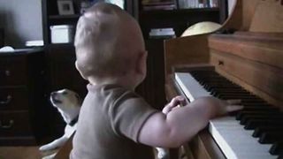 Kiddie Canine Piano Performance