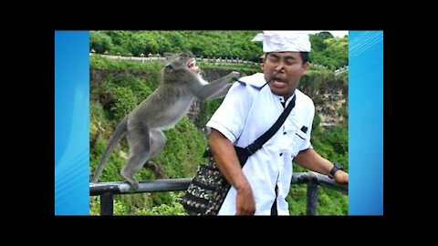 Funny Videos Compilation July |Try Not To Laugh 2|
