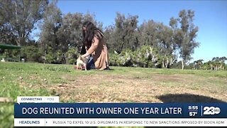 Dog reunited with owner one year later