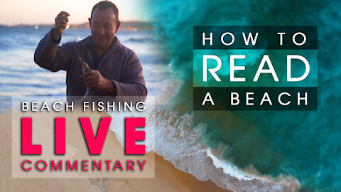 Live Commentary: HOW TO READ A BEACH - 3 Beaches Evaluated