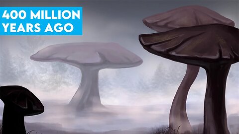 What Earth Looked Like 400 Million Years Ago?