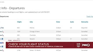Check Your Flight Status