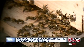 Scatter Joy Acres celebrates National Honey Bee Day