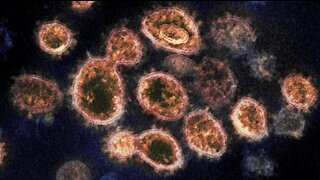 Nevada health lab reports 1st South African COVID-19 variant confirmed case