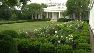 Spruced-up White House Rose Garden set for first lady speech