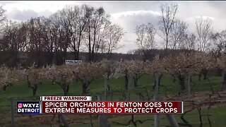 Orchards taking precautions against overnight freezing temperatures