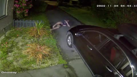 Man Tries to Break Up Cat Fight and Trips on Car