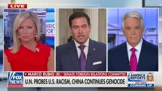 Marco Rubio addresses UN racism investigation