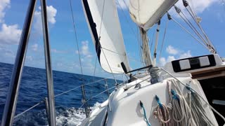 Palm Beach FL Sailing