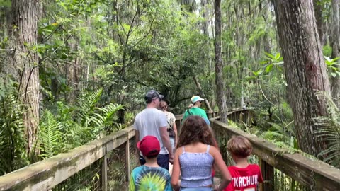 Arthur R. Marshall Loxahatchee National Wildlife Refuge - Viva Family Discovers Florida!