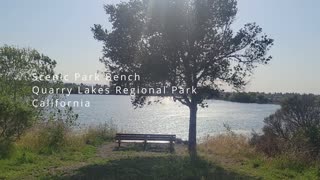 Quarry Lakes Scenic Park Bench