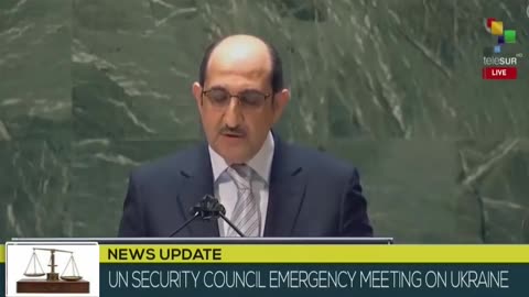 UN Ambassador to UN Security Council: Ukraine exacerbating situation
