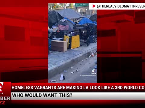 Watch This: Homeless Vagrants Are Making LA Look Like A 3rd World Country
