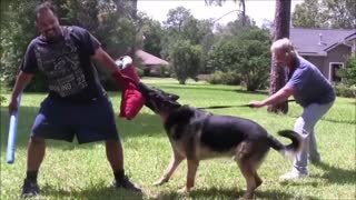 COMPLETELY SIMPLE AGGRESSIVE DOG TRAINING
