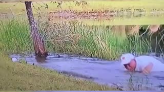 Man Rescues Puppy From Alligator
