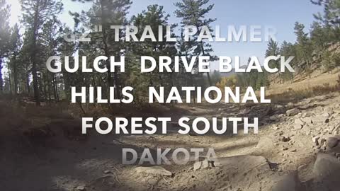 82” Trail 425 Palmer Gulch Drive Black Hills National Forest South Dakota