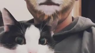 Cat has mind blown by owner's cat face filter