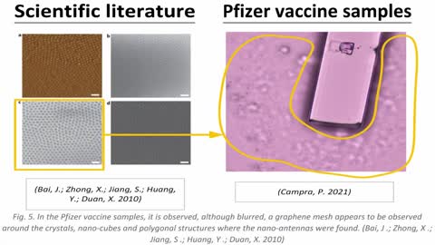 Covid Vaccines Nanotechnology (Part1) - Nanotubes - Nano Hardware - Nano Routers - Graphene Oxide - 5G