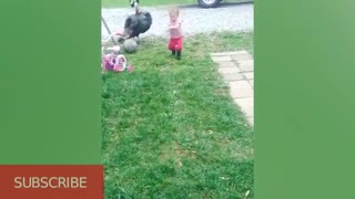 Funny Babies And Pets Videos Compilation