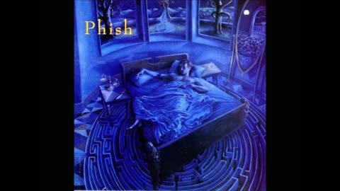 Silent in the Morning Phish Cover