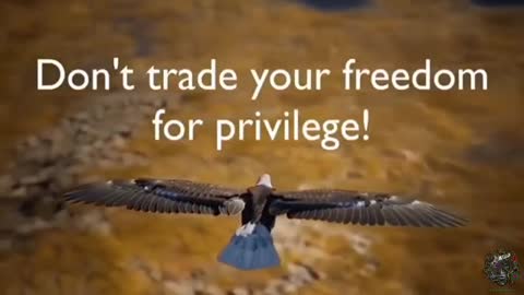 Don't Trade your Freedom for Privilege