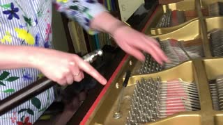What We Can Learn from Piano Tuning