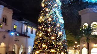 Disney springs Christmas Tree