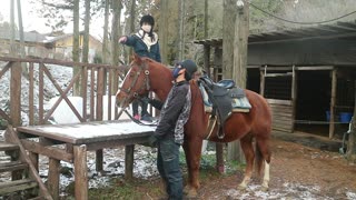 20210101 chủ trại ngựa phân công người cưỡi chú ngựa Nina