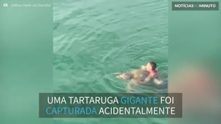 Tartaruga gigante é resgatada após ser fisgada por anzol