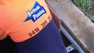 Australian Man Rescues Ducklings Trapped in a Storm Drain