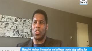 Herschel Walker: Companies and colleges should stop asking for race on applications