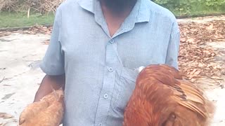 Hen seller people with village in faney video