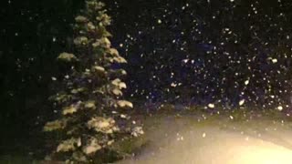Giant Idaho Snowflakes