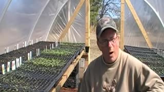 Backyard Greenhouses - Update