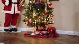 Christmas Tree and santa mavic mini