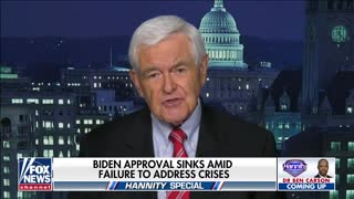 Gingrich: Big government socialism is a crisis of the American system