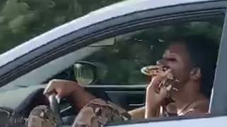 Woman drives down freeway with giant python hanging out of window