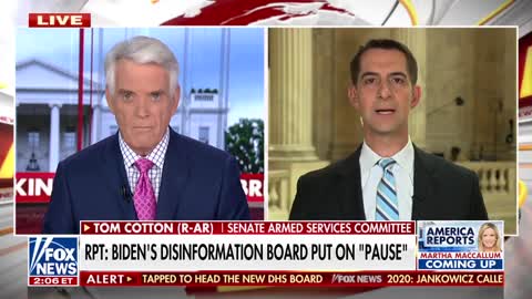 Sen Cotton: Dems Think Disinformation Are Facts That Reflect Poorly On Biden
