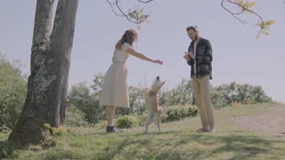 Couple Playing with Their Dog