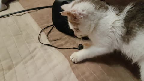 HTC Vive headset tutorial for cats