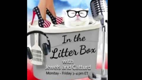 Biden Lid Friday! In the Litter Box w/ Jewels & Catturd 1/21/2022 - Ep. 3