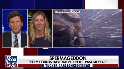 The Spermpocolyps Spreading Across the World
