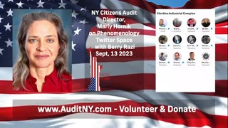 NY Citizens Audit Director Marly Hornik on Phenomenology Twitter Space with Berry Razi Sept, 13 2023
