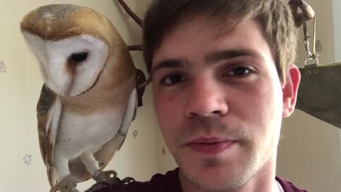 Tito the owl shares kisses with his owner