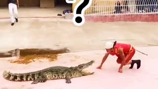 Wildlife struggle existence 11 - crocodile