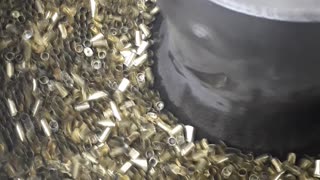Cleaning freedom seeds