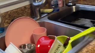 Dirty Cup Surprise Sends TV Flying