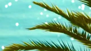 Sea and palm trees